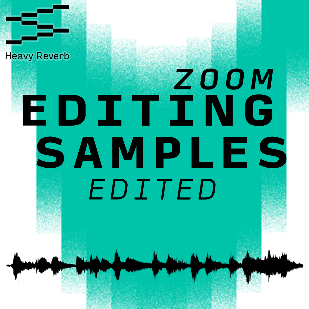 Zoom Samples Edited